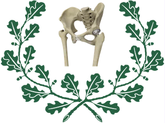 Dr. Alexandru Grecu - Cabinet ortopedie Craiova, logo